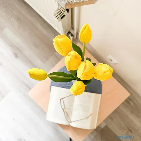 Apartment Nahe Kurpark Doese Cuxhaven